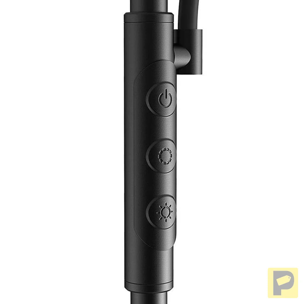 Double Floor Lamp with remote BlitzWill BWL-FL-0001, 36W (black)