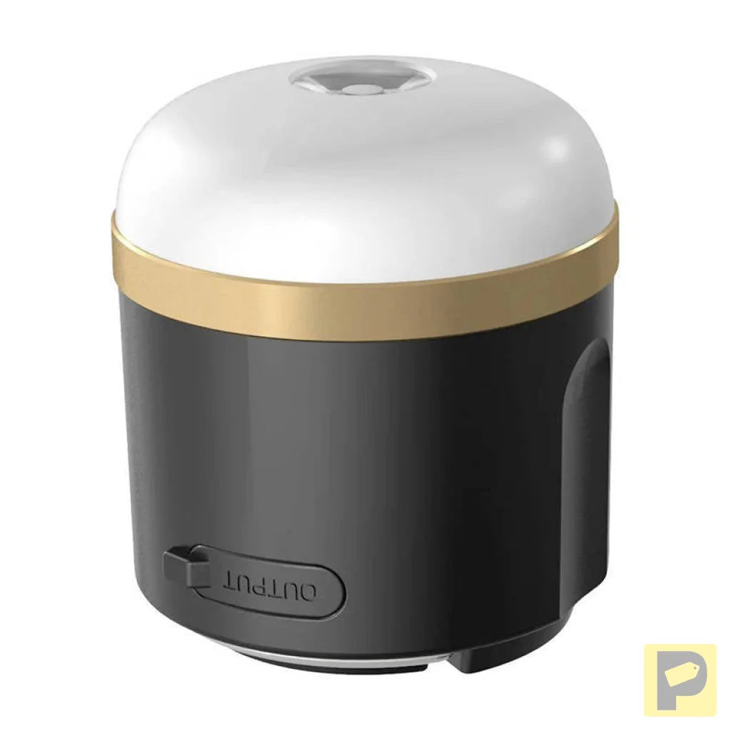 EcoFlow camping light