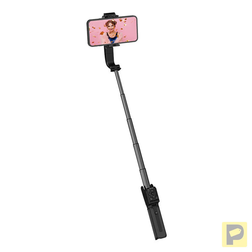 Gimbal Hohem iSteady Q