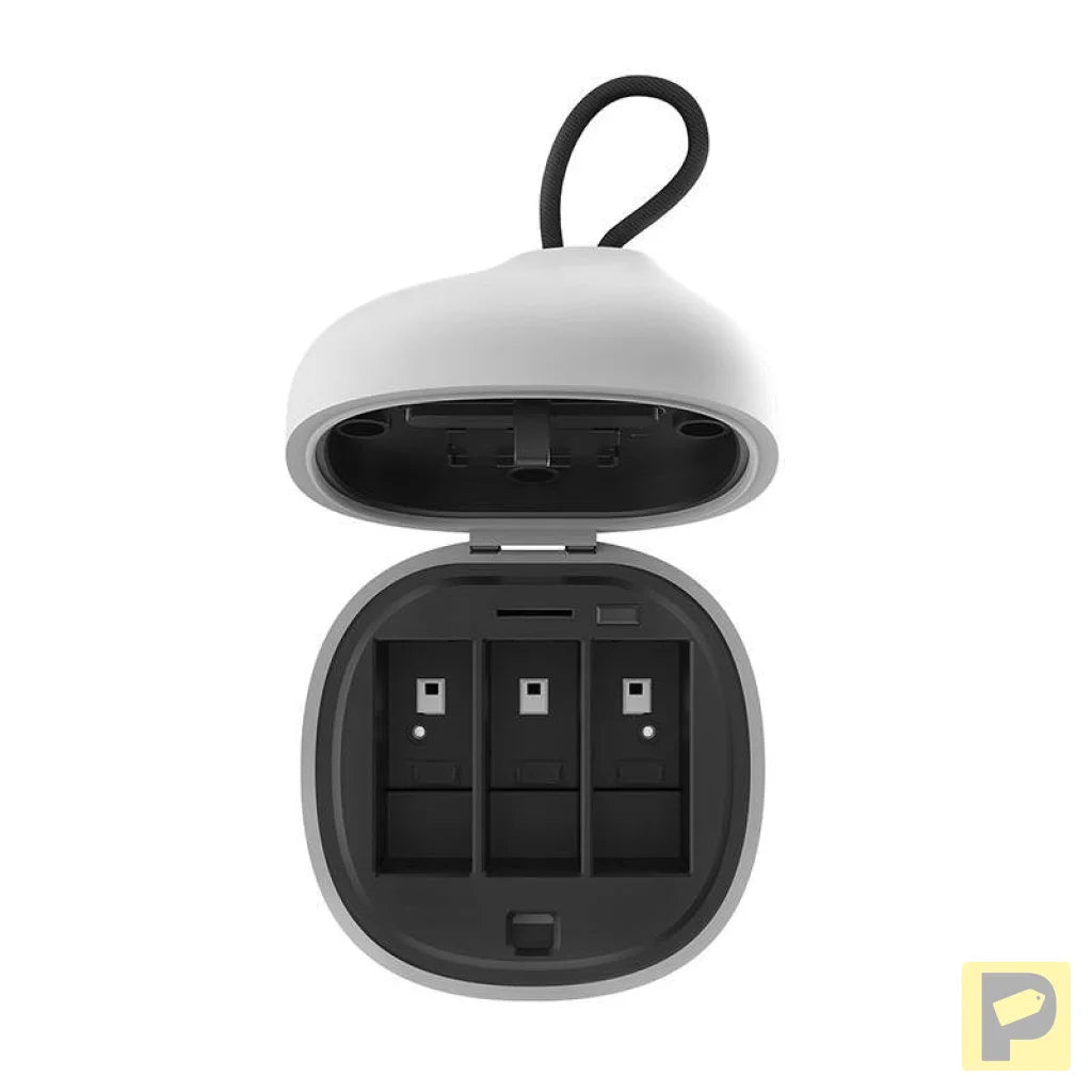 Allin box Telesin waterproof three-channel charger + 2 batteries for GoPro Hero 12 / Hero 11 / Hero 10 / Hero 9 (GP-BTR-905-GY-B)