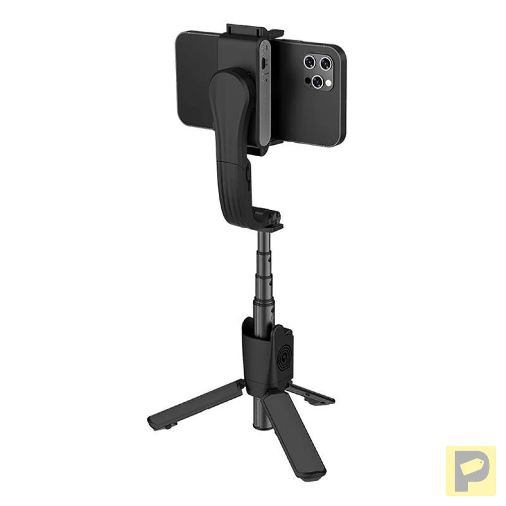 Gimbal Hohem iSteady Q