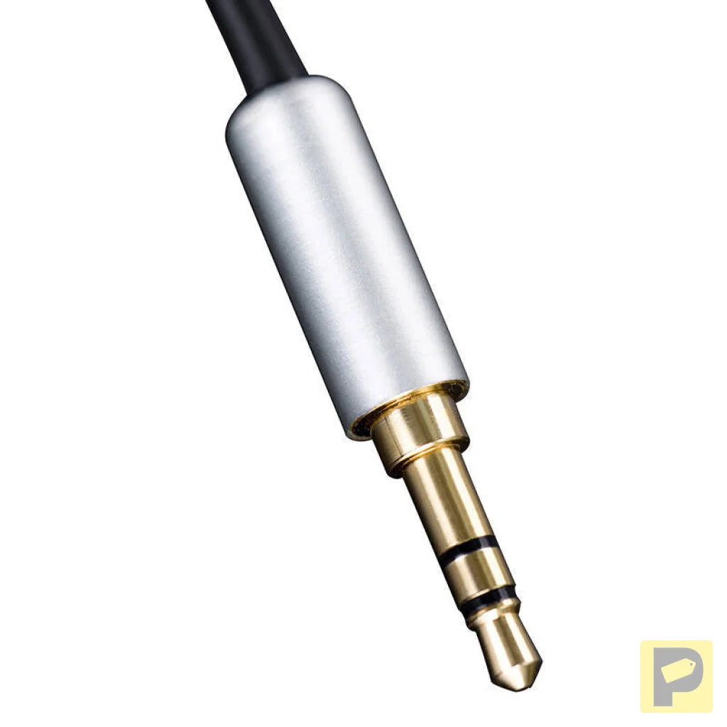 HiFiMAN RE2000 Pro Silver in-ear headphones