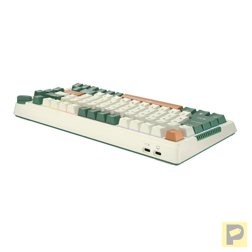 Royal Kludge RKH81 RGB Wireless Mechanical Keyboard, Sky cyan switch (green) (QWERTY)