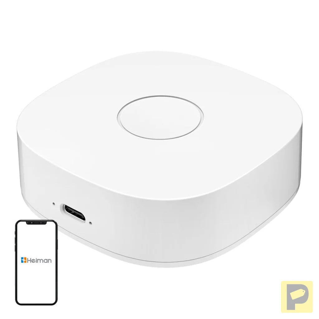 Smart home WS2GW-R WiFi