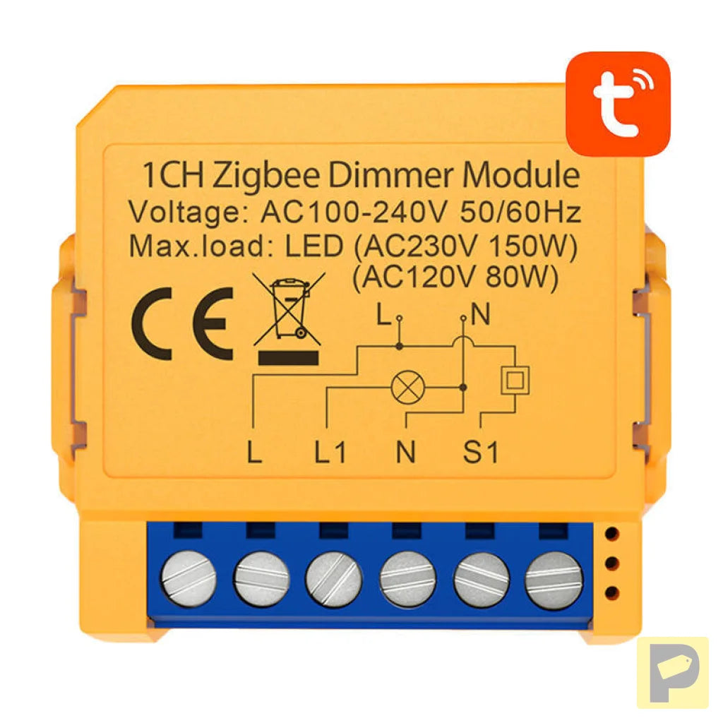Smart socket switch ZigBee Avatto ZDMS16-2 TUYA