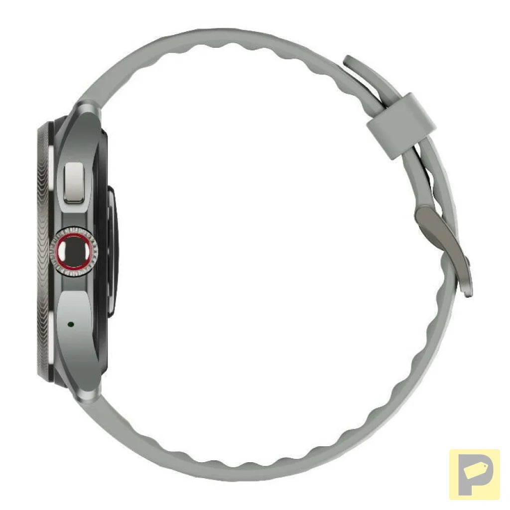 Smartwatch Mobvoi TicWatch Pro 5 Enduro (Grey)